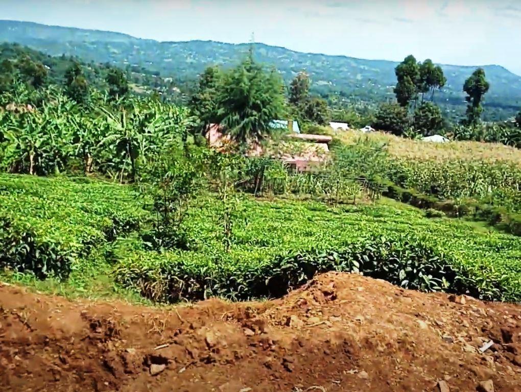 Sameta Hill – Abiri Kenya
